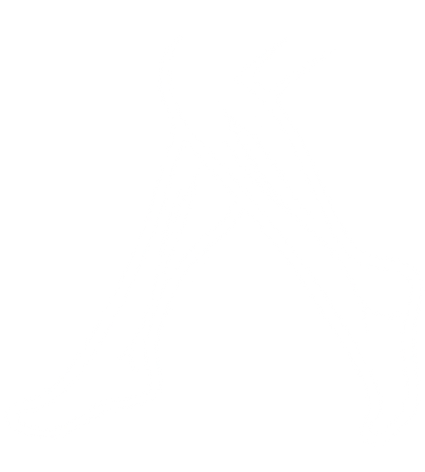 Varices Rive-Sud - Dr Jacobo Jaramillo